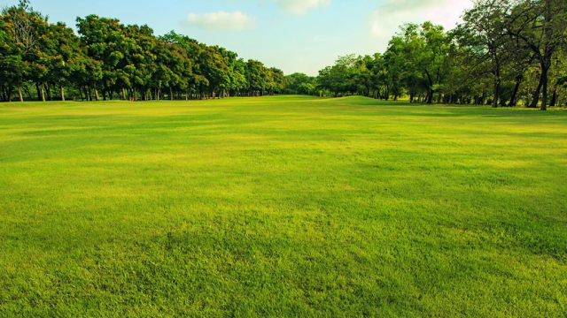 View of golf course with trees lined with fairway